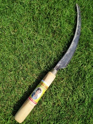 Sabit Gergaji Arit Padi bahan Baja Asli Kored rumput atau arit padi mini model gergaji