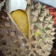 Non COD Durian Utuh Fresh Petruk