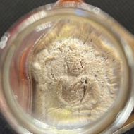 誠可議！超特價 🔥 龍婆沙礦 2530 LP sakorn 龍婆撒空（วัดหนองกรับ）年坤平 – 超小模（超細模）版本 💎一旦低價放出來，很容易影響整個市場價格😭💔