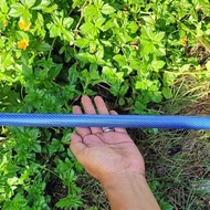 SEROMBONG CARBON WARNA WARNI SROMBONG LARAS PIPA CARBON OD 22 - Green Lestari