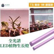 [瑞光植物燈]全光譜植物燈PRO T8 30cm多肉 塊根 龍舌蘭 觀葉 鹿角蕨 上色防徒