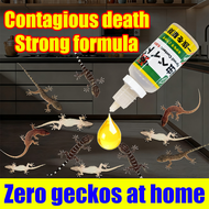 Zero geckos at home Lizard killer ubat cicak paling berkesan Lizard poison 壁虎药 racun cicak paling be