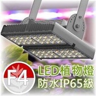 防水型LED植物燈【F4光譜】台灣製㊣VITALUX【**最新款仿太陽光全光譜植物生長燈雨林觀葉園藝照明燈量子板補光燈】