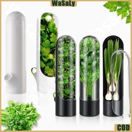 Storage Container Herb Storage Vegetabledaun Basil Herb Keeper Cup Container Onion Celery Stroagedau
