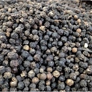 LADA HITAM BIJI KUALITI A
