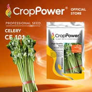 (200 GRAM) Biji Benih Daun Sup Saderi Big Salary 大薪 CE101 CROP POWER Celery seeds 芹菜 CE 101