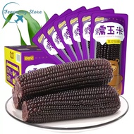 Fresh Corn Northeast Glutinous Corn Stick Vacuum Non Sweet Glutinous Sticky