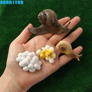BARR1YRB Life Cycle Figures Science Insect Grasshopper Realistic Kids Cognitive Biology Growth Cycle