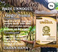 Benih padi unggul benih padi darat padi Gogo padi Huma kualitas terbaik kemasan 5kg