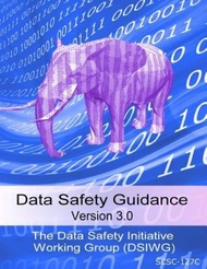 Data Safety Guidance V3.0 by Data Safety Initiative Working Group (paperback)