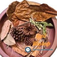 Aquarium decoration: Biotop package (almond leaves, coconut leaves, jackfruit leaves, guava leaves, 