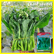 ปลูกได้ทั้งปี 400เมล็ด/ซอง เมล็ดพันธุ์คะน้า (Kale Seeds) อินทนนท์ F1 เมล็ดพันธุ์ผัก เมล็ดพันธุ์สวนครัว เมล็ดพันธุ์คะน้าฮ่องกง Organic Vegetables Seeds for Planting Bonsai Vegetable Plant Seeds เมล็ดพันธุ์ผัก เมล็ดผัก เมล็ดพืช ผักสวนครัว ปลูกผัก บอนสี