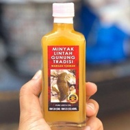 MINYAK LINTAH GUNUNG TRADISI WARISAN TOKWAN