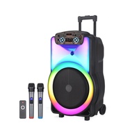 Aim NDR 15 Inch Outdoor Portable Subwoofer Speaker Home Bass Speaker System USB FM Bluetooth Wireless Karaoke Party Box