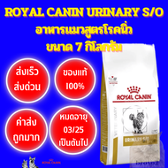 Royal Canin URINARY S/O อาหารแมวโรคนิ่ว 7kg