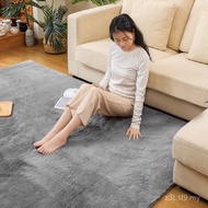Bedside Washable Mat Bedroom Plush Home Mat Sofa ins Carpet Living Room Machine Coffee Table Carpet 