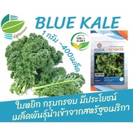 1g Benih Kailan Kerinting /Kale Curly Seed/ Dwarf Blue Curled Scotch Kale Seed / Kale Queen/Cap Juij