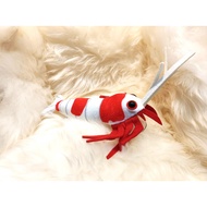 Crystal Red Shrimp - Original Green Pleco Plushies, Fish Aquarium Collectibles (6 inch, 15cm)