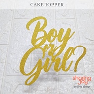Boy or Girl / Gender Reveal Cake Topper