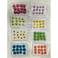 12Pcs dried pressed flower Dried Flowers Expoxy Resin AB Glue DIY Casing Handcraft Plant Specimen