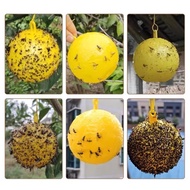 Fly Lure Ball Yellow Green Whole Box Of Fly Lure Ball Lure Fruit Fly Lure Melon Bee Orchard B2c5