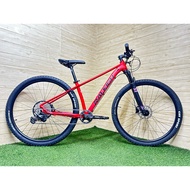 29” MTB Alloy 12s Raleigh Lusso