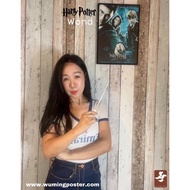 Harry Potter Wands keychain