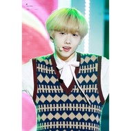 VEST JISUNG KOREAN VEST/ KPOP IDOL OUTFIT/