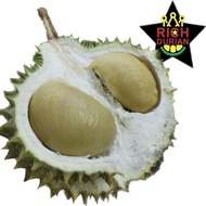 [Rich Star Durian] Pahang Raub Highland DXO 11KG [ Redeem In Store] [Dine-in/Takeaway]