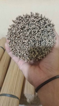 Jeruji sangkar bambu 3mm panjang 60cm semi kulitan 1000pcs