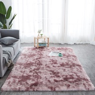 Fluffy Karpet Floor Carpet Plush Rug Soft Velvet Mat Home Decor 40x60CM 80x120CM 120x160CM 160x200CM
