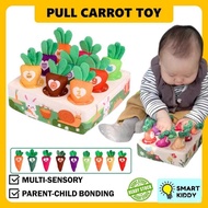 Pull Carrot Toys Baby Toys Soft Toys for Baby Tummy Time Toys for Baby Baby Toys