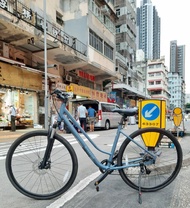 RIVERSIDE   (廸卡農）， 700 X 35C  ， 9 速 ， 鋁合金 城市車 ， 前避震 ， 碟剎 ， 前後轆可快拆