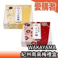 日本 NAKATA 豐熟梅 大粒梅干 180g 和歌山製 醃漬梅 紫蘇梅 蜂蜜梅 減鹽梅干【愛購者】