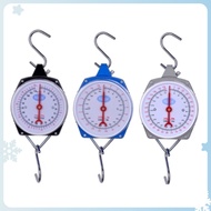 Timbangan Gantung Besi 100kg/Timbangan Gantung Jarum 100kg