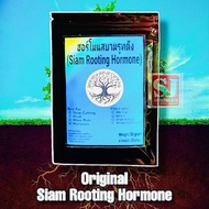 [30 g] Original Thailand Siam Rooting Hormone/Baja akar /Hormon Penggalak Akar/Keratan Batang Tut/Nusery/ Plants