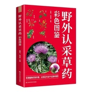 Wild Herbs Color Illustrated Book Traditional Chinese Medicine Introductory Traditional Chinese Herb