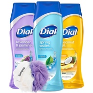 Dial Body Wash Variety Set of 3 Assorted Sizes, Lavender and Jasmine, Spring Water, Coconut Oil Scen