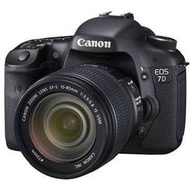 彩色鳥 相機出租**鏡頭出租 Canon 7D + Canon EF 70-200mm f2.8 IS II ( 小白IS 第二代)