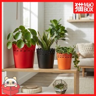 KOREAN ROUND FLOWER POT 25 CM - MAOBOX