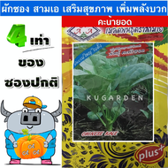 AAA 🇹🇭 ผักซอง 3A J005#คะน้ายอด  ผักซองตั้ง ผักซองจัมโบ้ ซองตั้ง ซอง​จัมโบ้​ เมล็ดพันธุ์ผัก  AAA สามเ