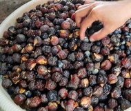 Buah Lerak Kelerak 1 kg Detergent Sabun Batik Eco Print Alami