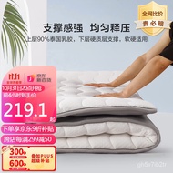 XY！Mercury Home Textile Thailand Imported Natural Latex Mattress Dormitory Foldable Tatami Mattress2022Autumn and Winter