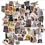 50 PCS CUTE CAT MEME STICKERS WATERPROOF CAT MEME STICKERS STICKER WATERPROOF