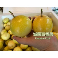 (M Size) Passion Fruit Panama Golden 100%Sweet Fruit Buah Markisa Kuning Pamana type 新鲜百香果 1kg=13pcs