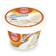 Coconut Ice Cream - 4oz cup (60g)