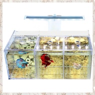 P0(XGYC) Aquarium LED Acrylic Fish Tank Set Mini Desktop Light Water Pump Filters