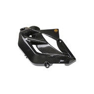 SYM Motors [King Motor] Sanyang DRG Modified Carbon Fiber Water Cooling Cover