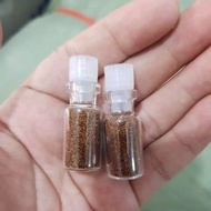 Carpet seed / karpet seed monte carlo