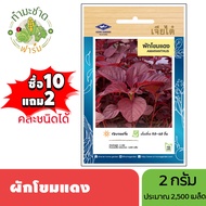 เจียไต๋ (ซื้อ10แถม2) เมล็ดพันธุ์ ผักโขมแดง ขนาด2กรัม ประมาณ2500เมล็ด Red Amaranth ผักโขม เมล็ดพันธุ์